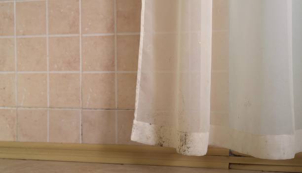 Best Post-Construction Mold Inspection  in Stanhope, NJ