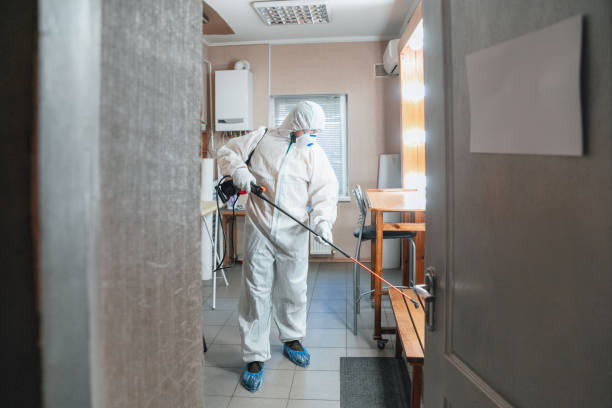 Best Airborne Mold Testing  in Stanhope, NJ