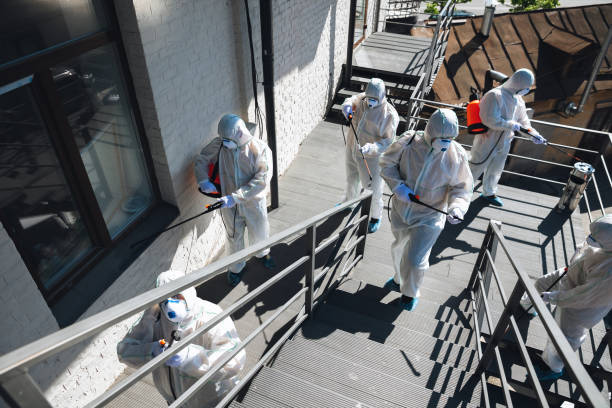 Best Industrial Mold Remediation  in Stanhope, NJ