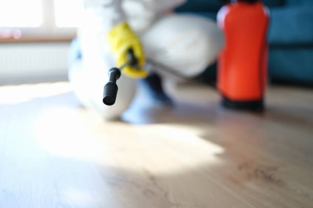 Best Comprehensive Air Testing for Mold Contaminants  in Stanhope, NJ