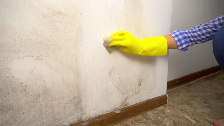Best Real Estate Mold Inspection  in Stanhope, NJ
