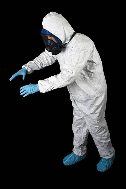 Reliable Stanhope, NJ Mold Removal Solutions